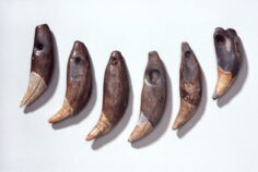 055_CH_BE_Bern_Bärenzähne