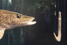 006_CH_SO_Museum_Olten_Haken