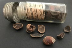 020_DE_BW_Uni_Freiburg