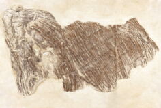 062_FR_Jura_Lons_Korb