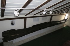 013_CH_BE_Neuville_Einbaum