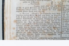 008_CH_ZH_Meilen_Zeitungsausschnitt