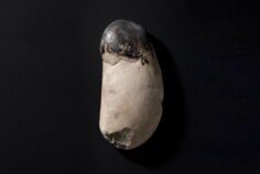 035_DE_LandesmuseumKA_Pechkiesel