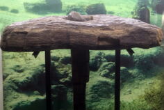 061_DE_BW_Unteruhldingen